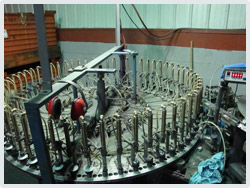 Bluebird Enterprise, Inc.